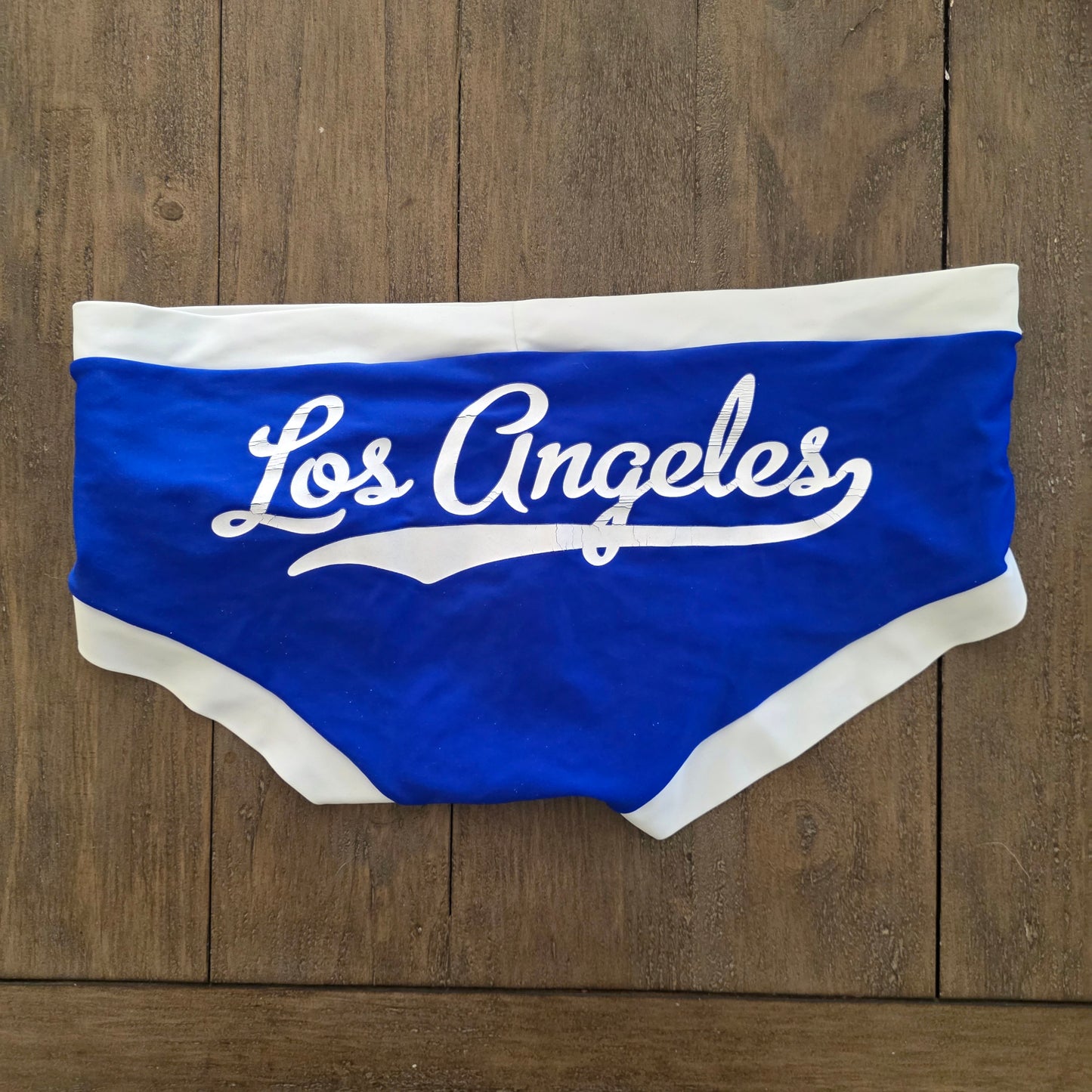 N2N Bodywear 2009 Vintage VC1 L.A. Vintage Swim Brief Trunks Blue Medium