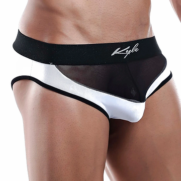 Kyle Bikini Brief KLJ003