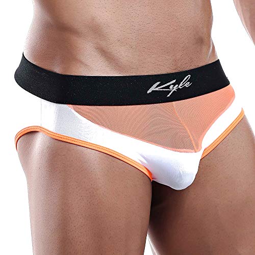 Kyle Bikini Brief KLJ003